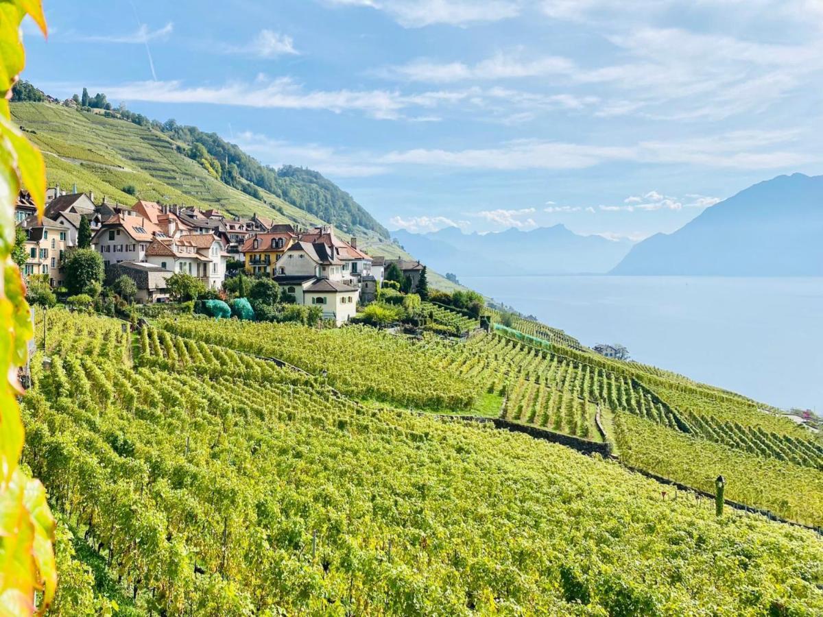 Montreux Holiday Home Buitenkant foto