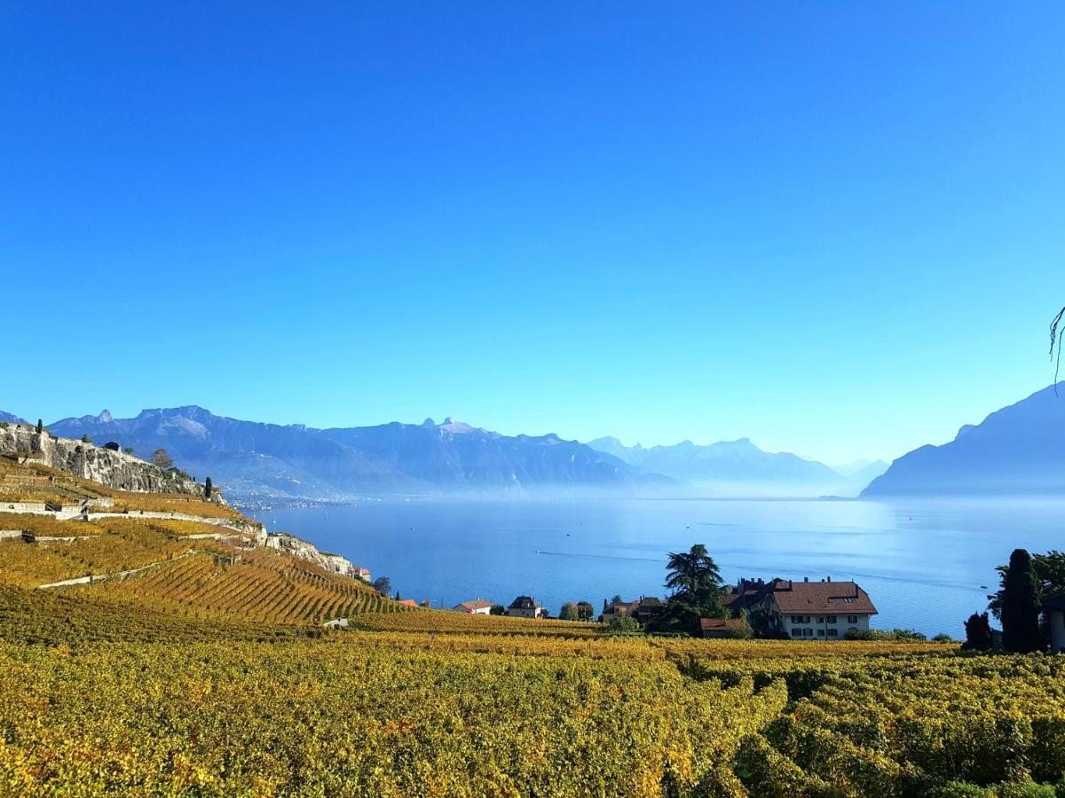 Montreux Holiday Home Buitenkant foto